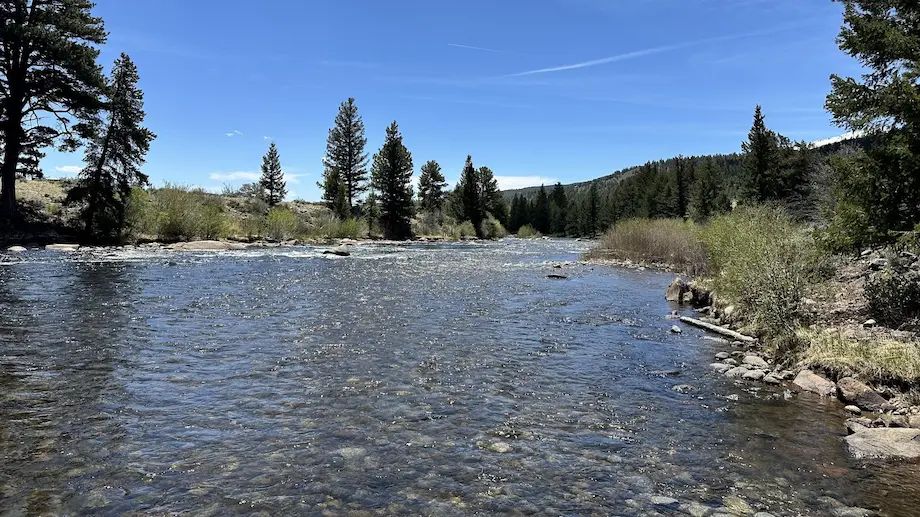 We ate lunch and hiked a bit along the Arkansas River. The Arkansas River at the Numbers Recreation Site