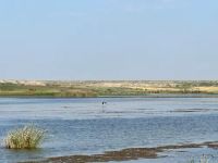 Bitter Lake National Wildlife Refuge