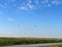 Bitter Lake National Wildlife Refuge